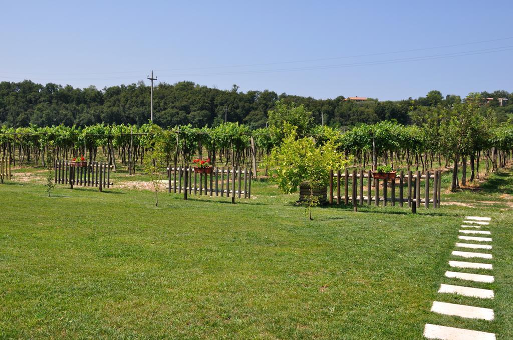 Agriturismo Ai Ciliegi Bardolino Extérieur photo